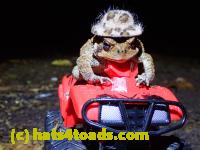 /home//u458753944/public_html/sourcegallery////McKaig Nature Center/2020-10-11/PA110710.JPG
